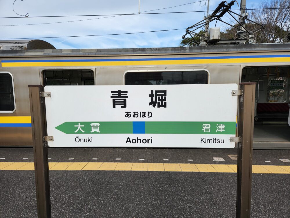 青春18きっぷで冬の内房線を行った～単線区間最初の駅 - 降り鉄